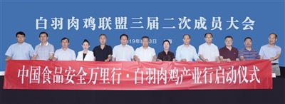 20190807112311 非凡国际(中国区)有限公司-官方网站