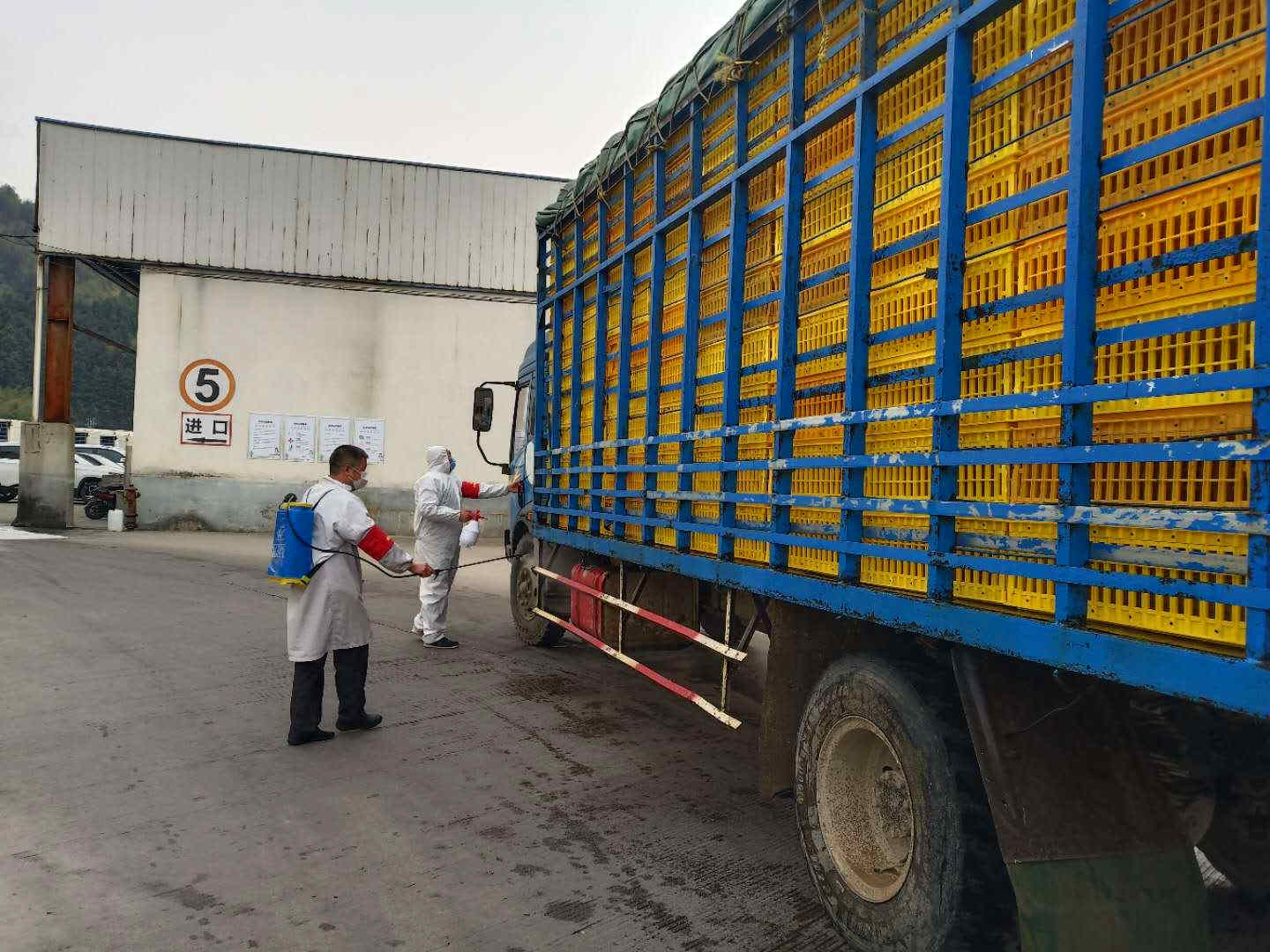 20200310172249 非凡国际(中国区)有限公司-官方网站