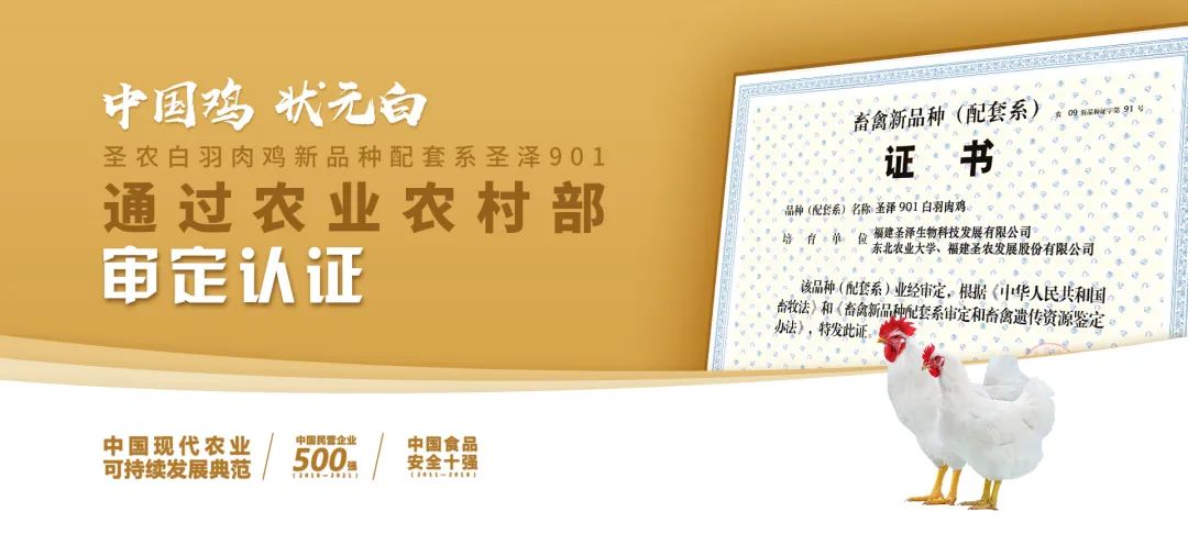 非凡国际(中国区)有限公司-官方网站