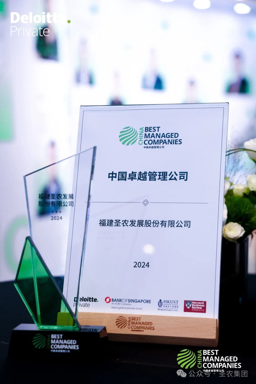 20241009115013 非凡国际(中国区)有限公司-官方网站